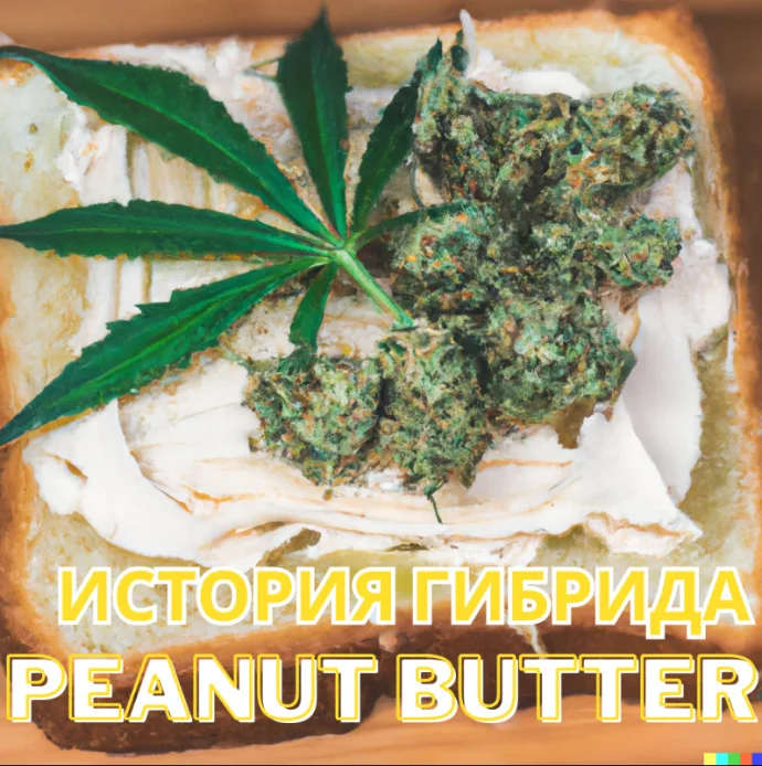 История гибрида Peanut Butter Breath